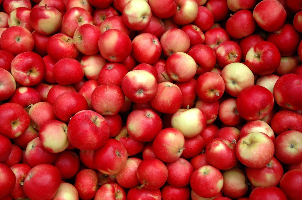 The Rotten Apple Backpackers Hastings Eksteriør billede